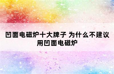 凹面电磁炉十大牌子 为什么不建议用凹面电磁炉